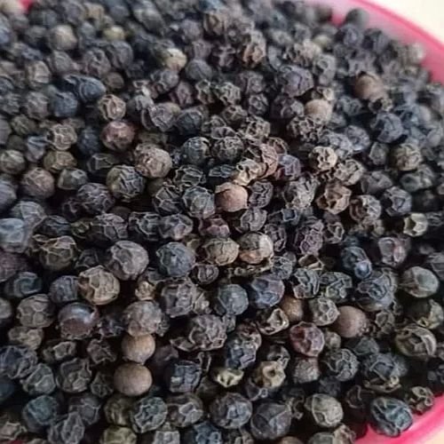 Black Pepper Seeds
