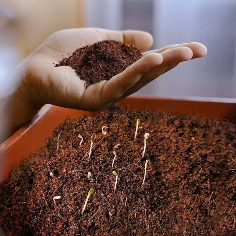 Coco Peat Powder (1 Kg)