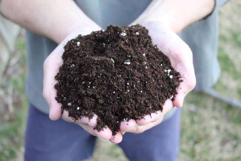 Potting Mix