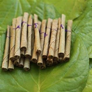 Dry Tendu Leaves Cone