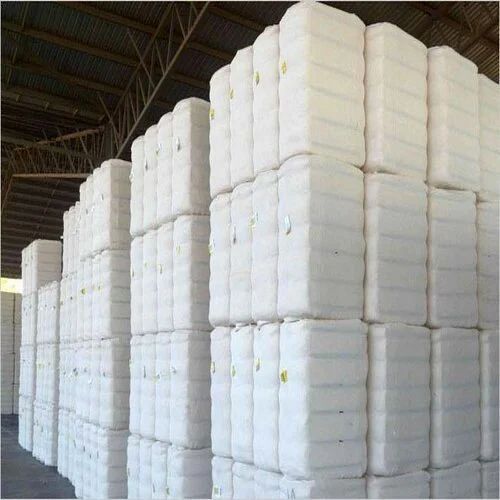Compressed Cotton Bale