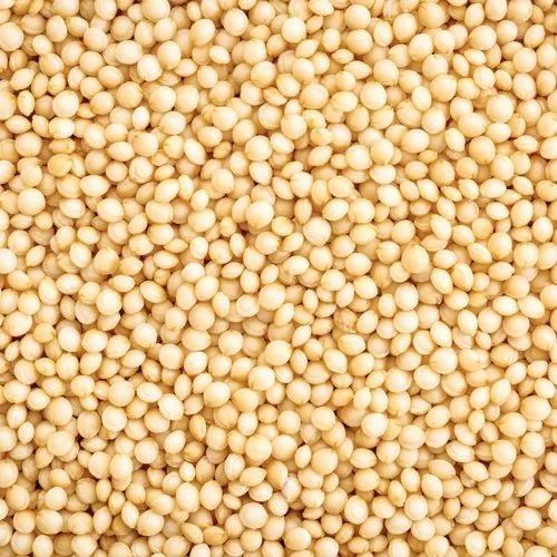 Whole Amaranth Rajgira Seeds