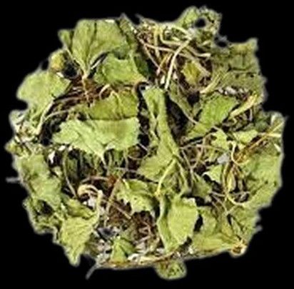 Dried Brahmi Leaves