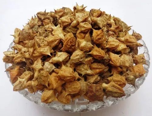Dried Brown A Grade Gokhru Seed