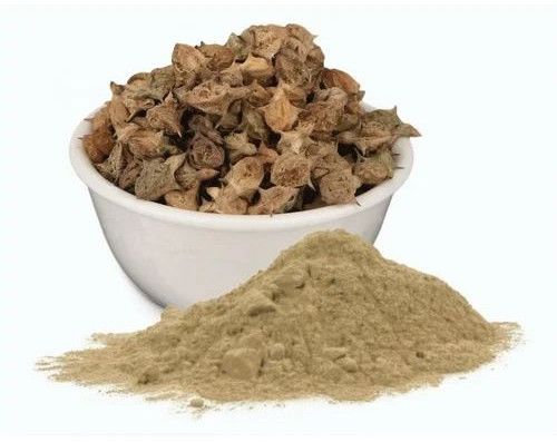 Dried Gokhru Powder