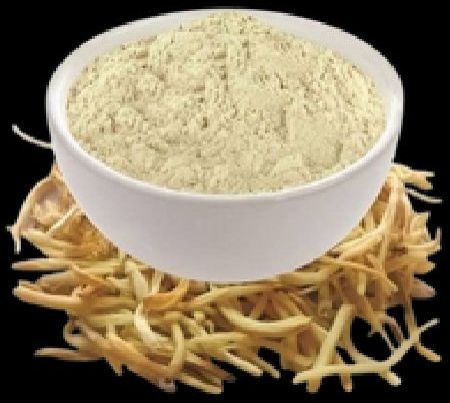 Dried Safed Musli Powder