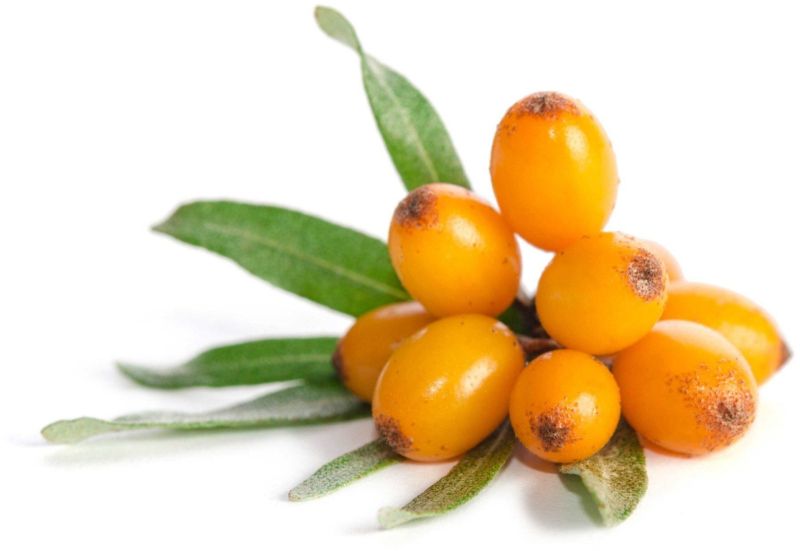 Sea Buckthorn Berry