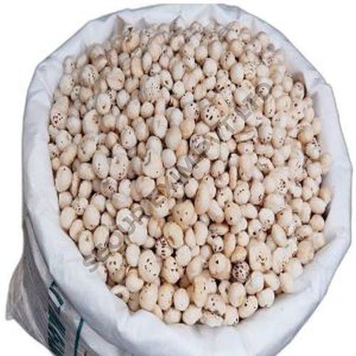 5 Plus Suta HP Makhana