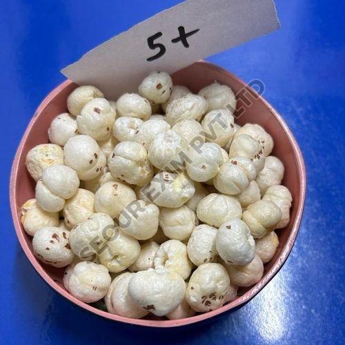 5 Plus Suta Makhana