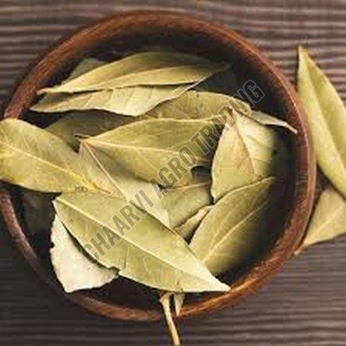 Bay Leaf