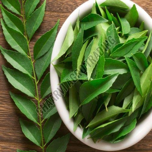 Curry Leaves