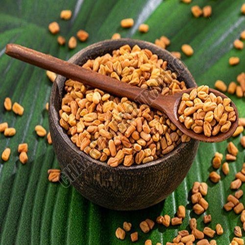 Fenugreek Seed