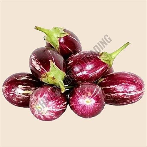 Fresh Brinjal