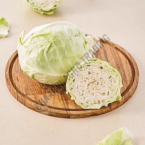 Fresh Cabbage