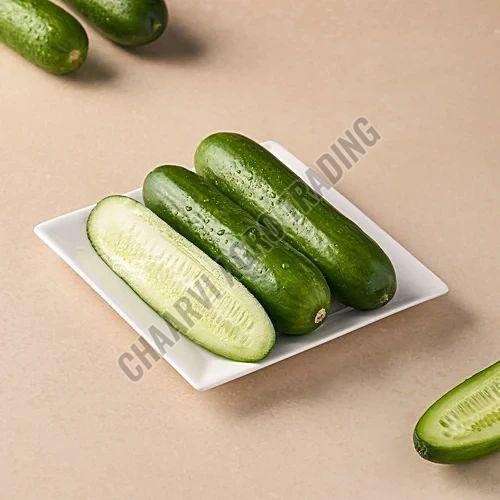 Fresh Cucumber
