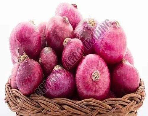 Fresh Pink Onion