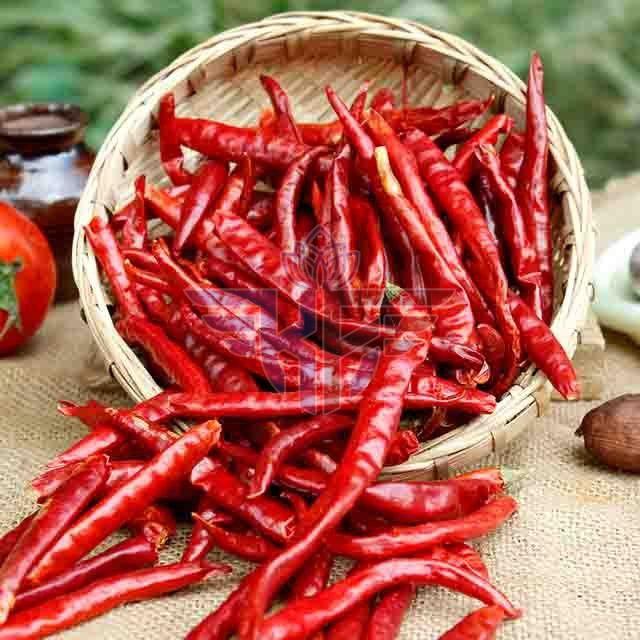 Dry Red Chilli
