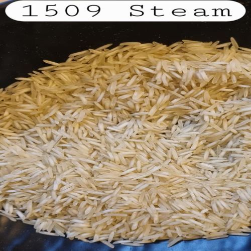 1509 Steam Basmati Rice
