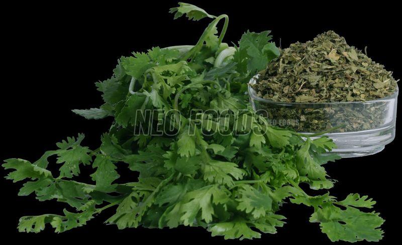 Coriander Flakes