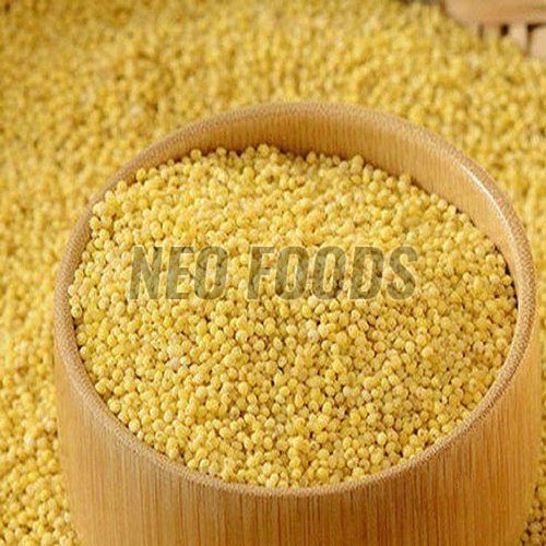 Foxtail Millet