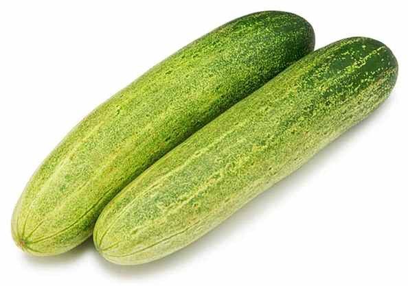 A Grade Fresh Cucumber