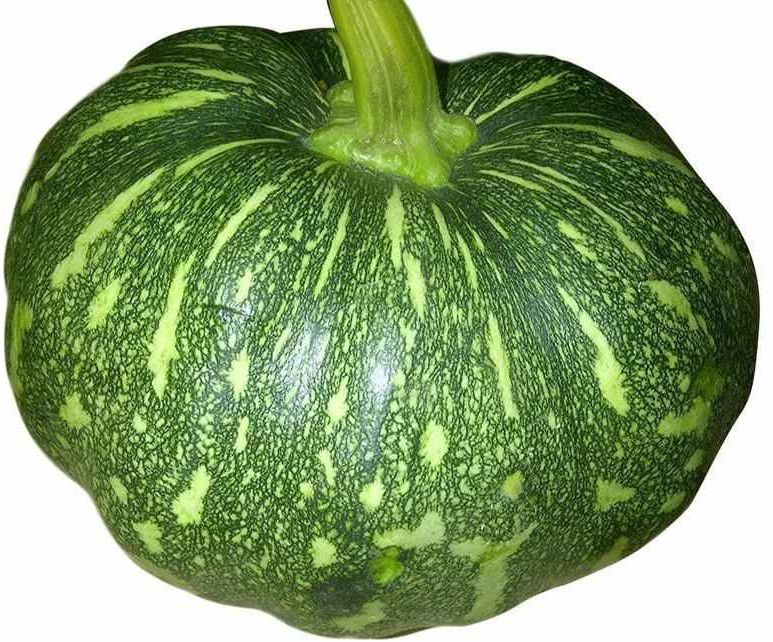 A Grade Fresh Pumpkin
