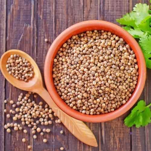 A Grade Whole Coriander Seed