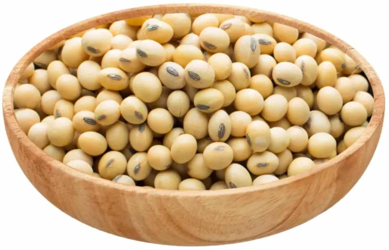 White Superior Soybean Grain Seed