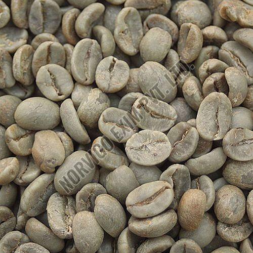 A Grade Washed Robusta Coffee Beans