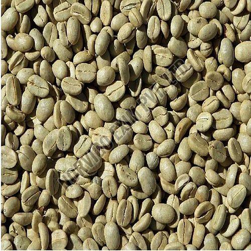 AB Grade Washed Robusta Coffee Beans