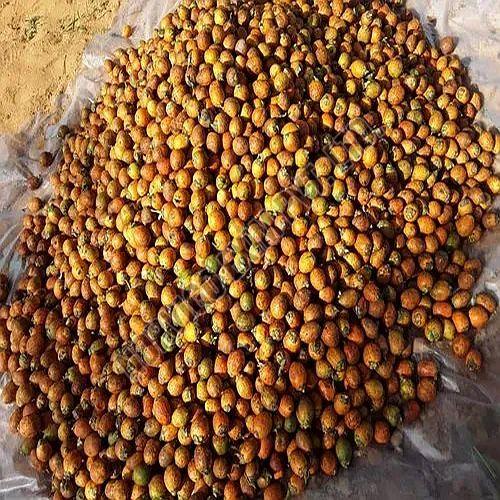 Natural Raw Areca Nuts