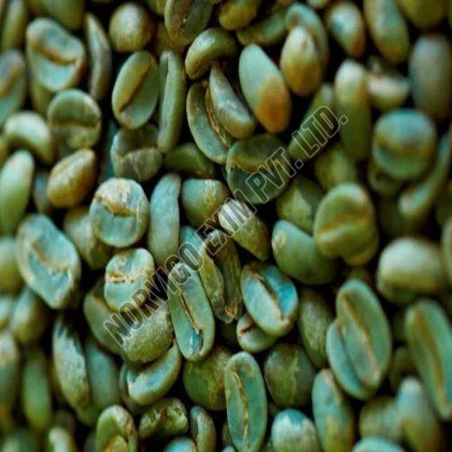 PB Grade Washed Robusta Coffee Beans