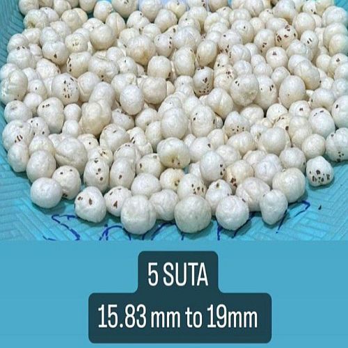 5 Suta Phool Makhana