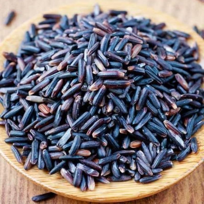 Pure Black Paddy Seeds