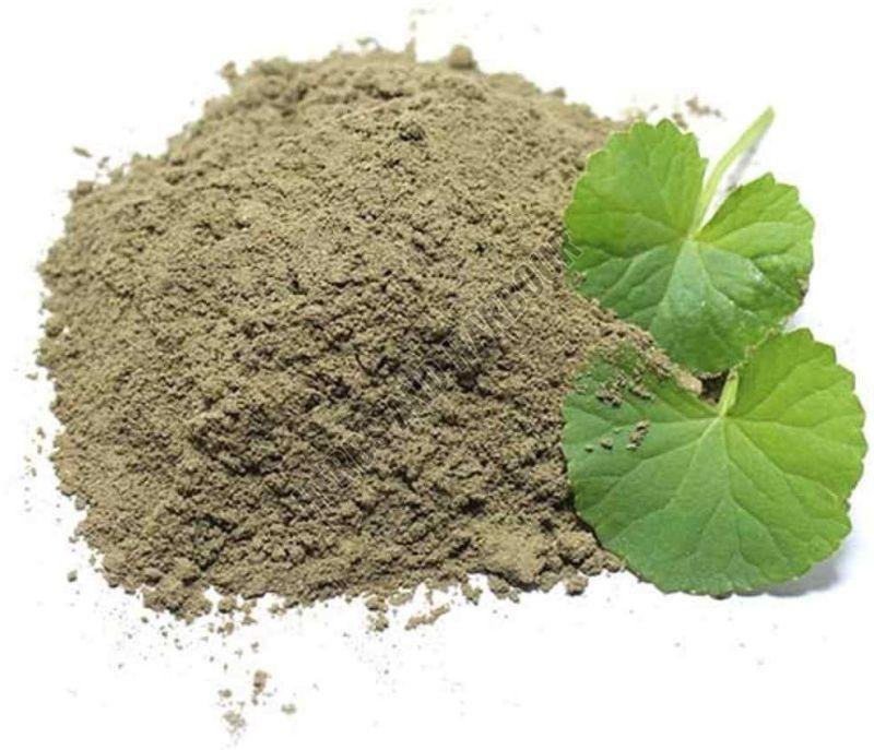 Brahmi Powder
