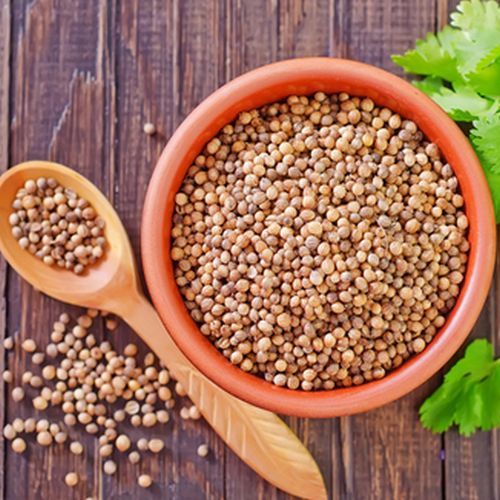 Coriander Seeds