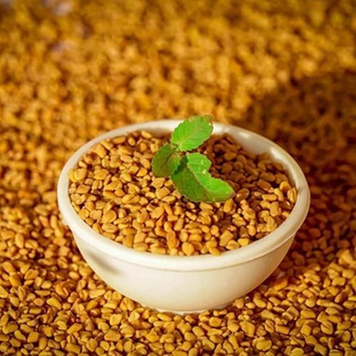 Fenugreek Seeds