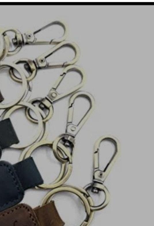 Stainless Steel Dog Hook with Ring