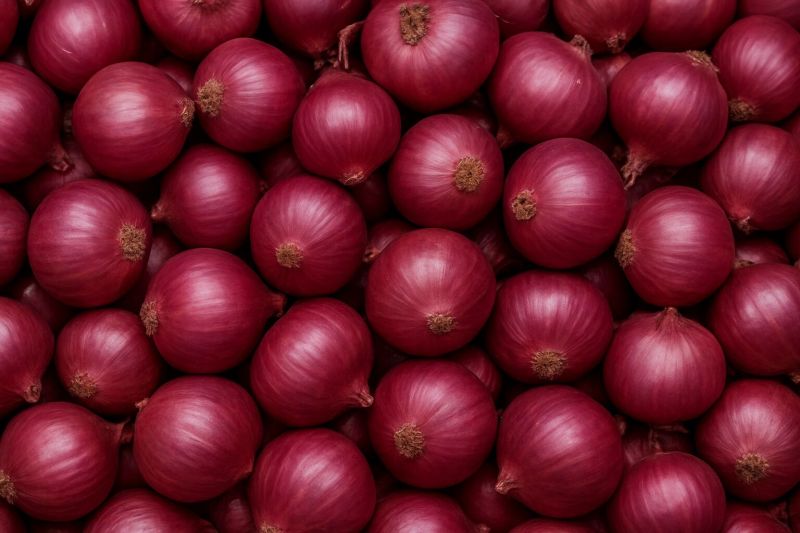 fresh red onion