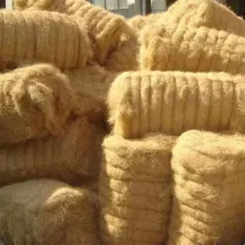 Coir Fibre