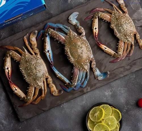 Blue Crab