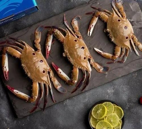 Fresh Three Dotted Crab
