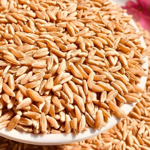Khapli Wheat Grain