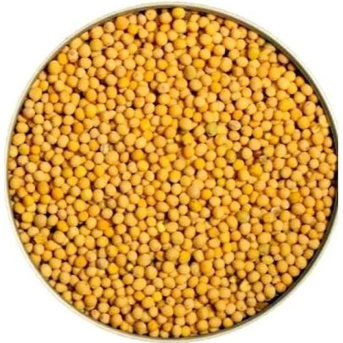 Organic Yellow Mustard Seeds