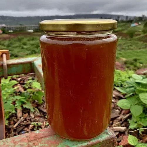Wild Forest Honey