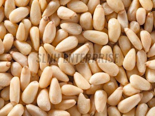 Dried Pine Nut