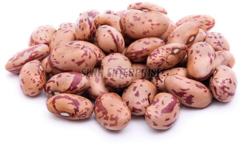 Dried Pinto Beans