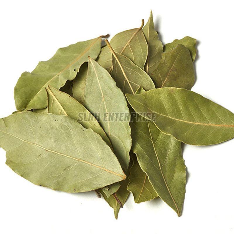 Laurel Leaves