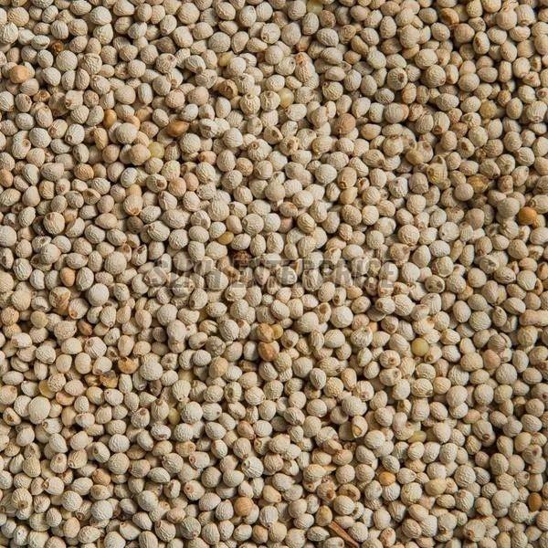 Organic Perilla Seeds