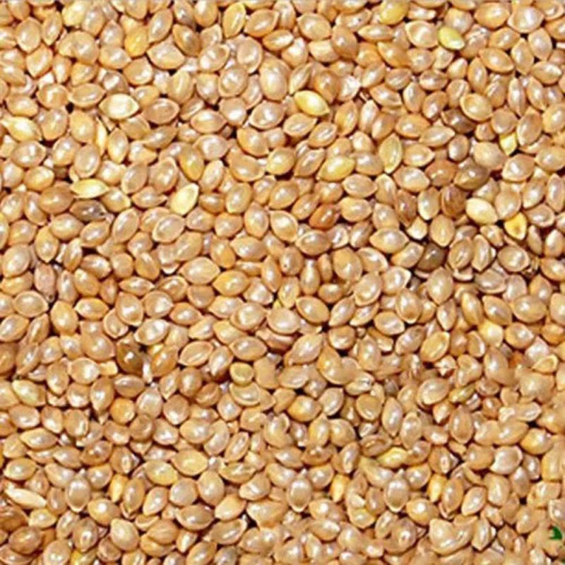Barnyard Millets